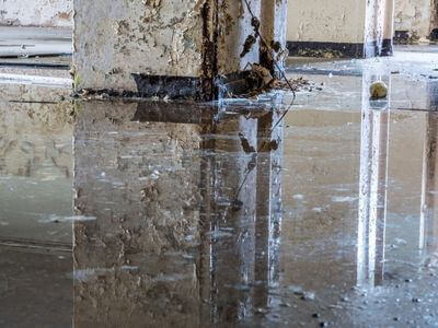 About Damage Control: Water Removal & Restoration - water damage restoration experts in Ashland, AL