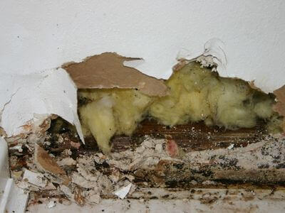 Professional water damage restoration services in Ashland, AL - Damage Control: Water Removal & Restoration